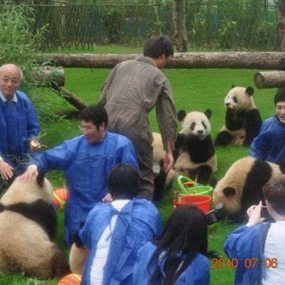 博斯绅威锚定环保使命 熊猫 IP 助力品牌公益责任落地